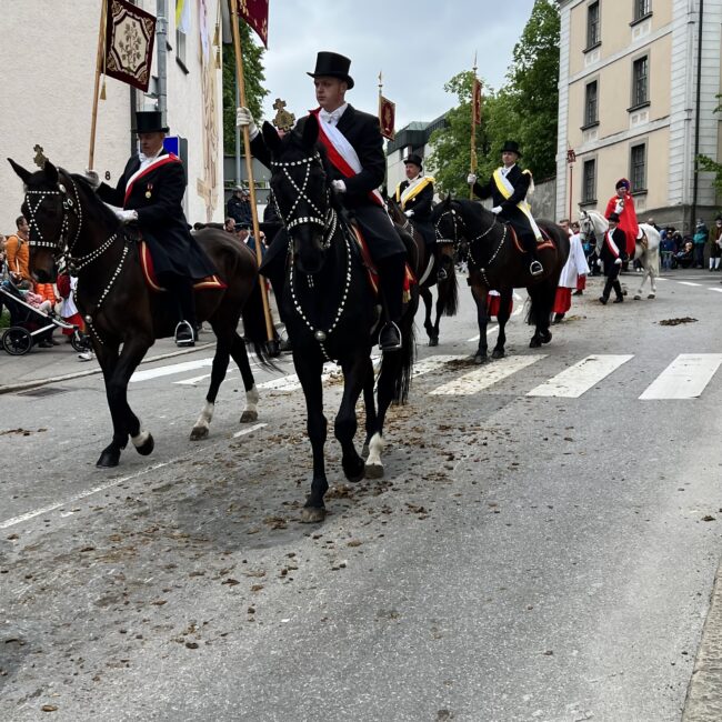 23 05 19 08 29 03 5616