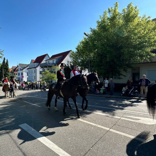 35f76ae1 31e7 4104 B56f 8b6fb7352201