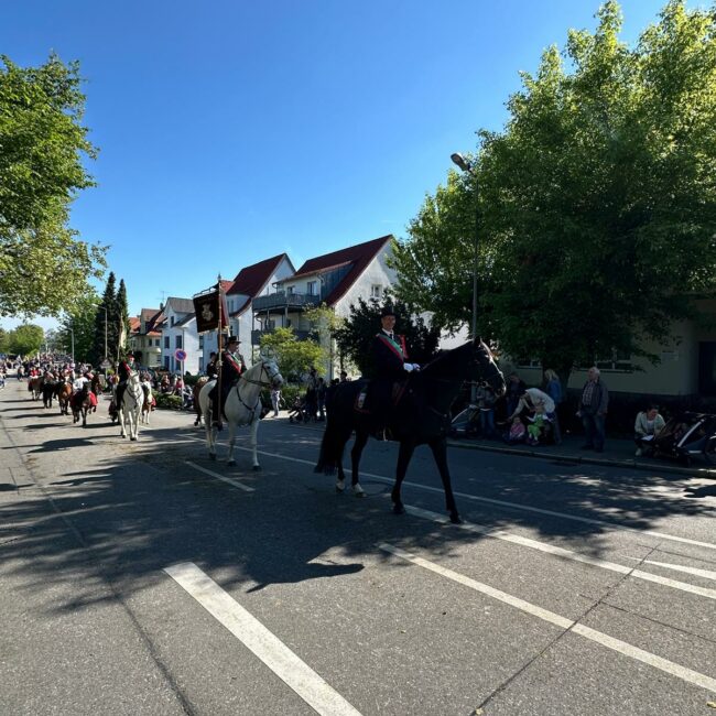 6a53121f 13c4 41de 859e 09bbf7507564