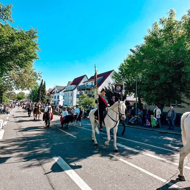 8d03209a B231 4d27 A915 Dbbde895eb29