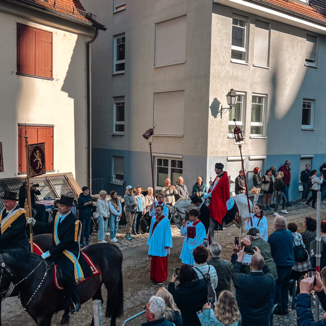 25 05 30 08 39 26 9719